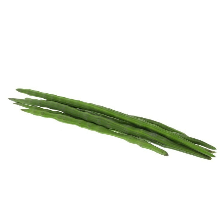 Drumstick India