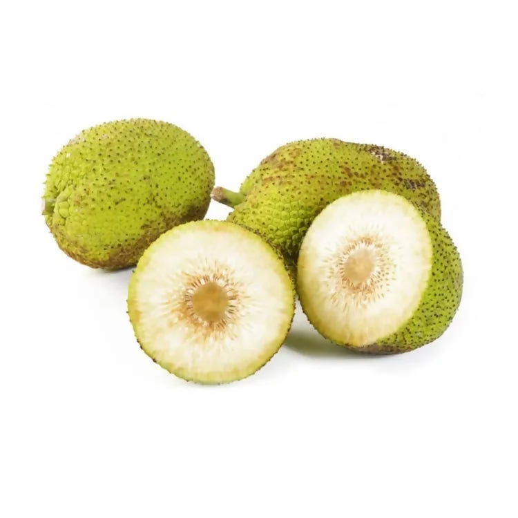 Bread Fruit India