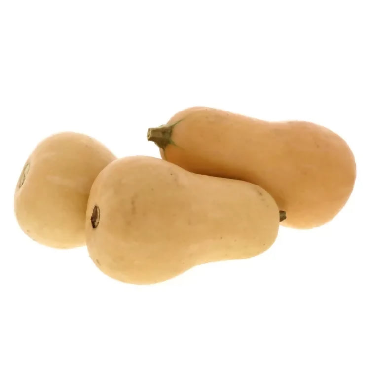 Butternut Pumpkin