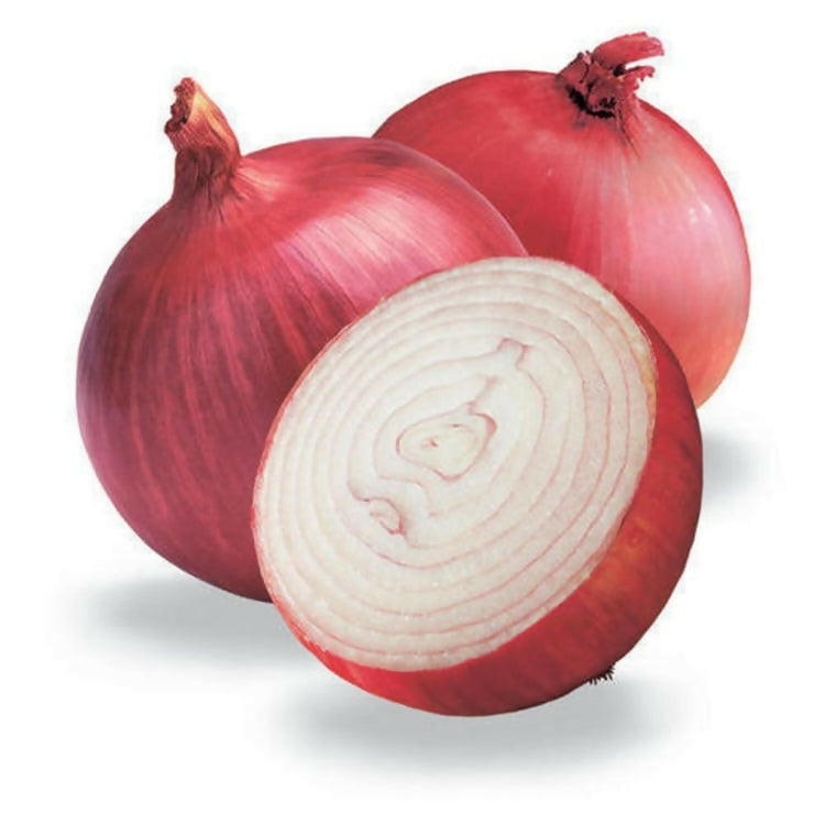 Onion India